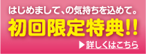 初回限定特典