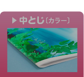 中とじ製本カラー印刷