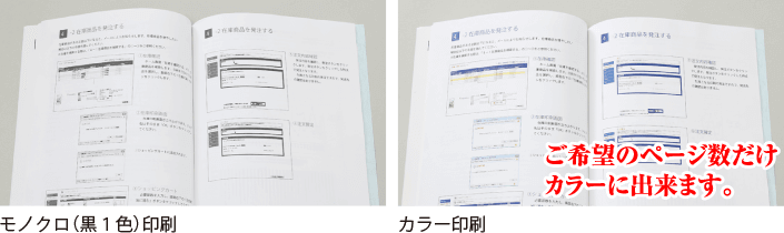 モノクロ画像、カラー画像見本