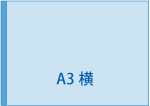 A3