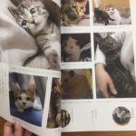 掲載した写真は色味も抑えられており、落ち着いた印象。このように写真が上品に見えるのがマットコート紙の魅力なのですね。